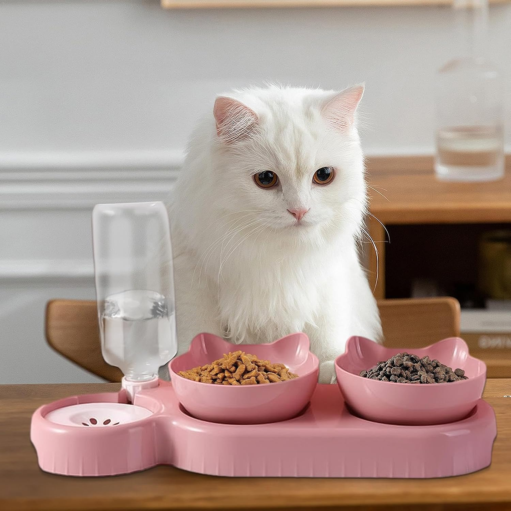Cat Food Bowl - 500ml Dog Food Bowl, Double Dog Bowl, Sloped Cat Dish with Automatic Water Bottle, Heavy Duty Pet Feeder, Bowl