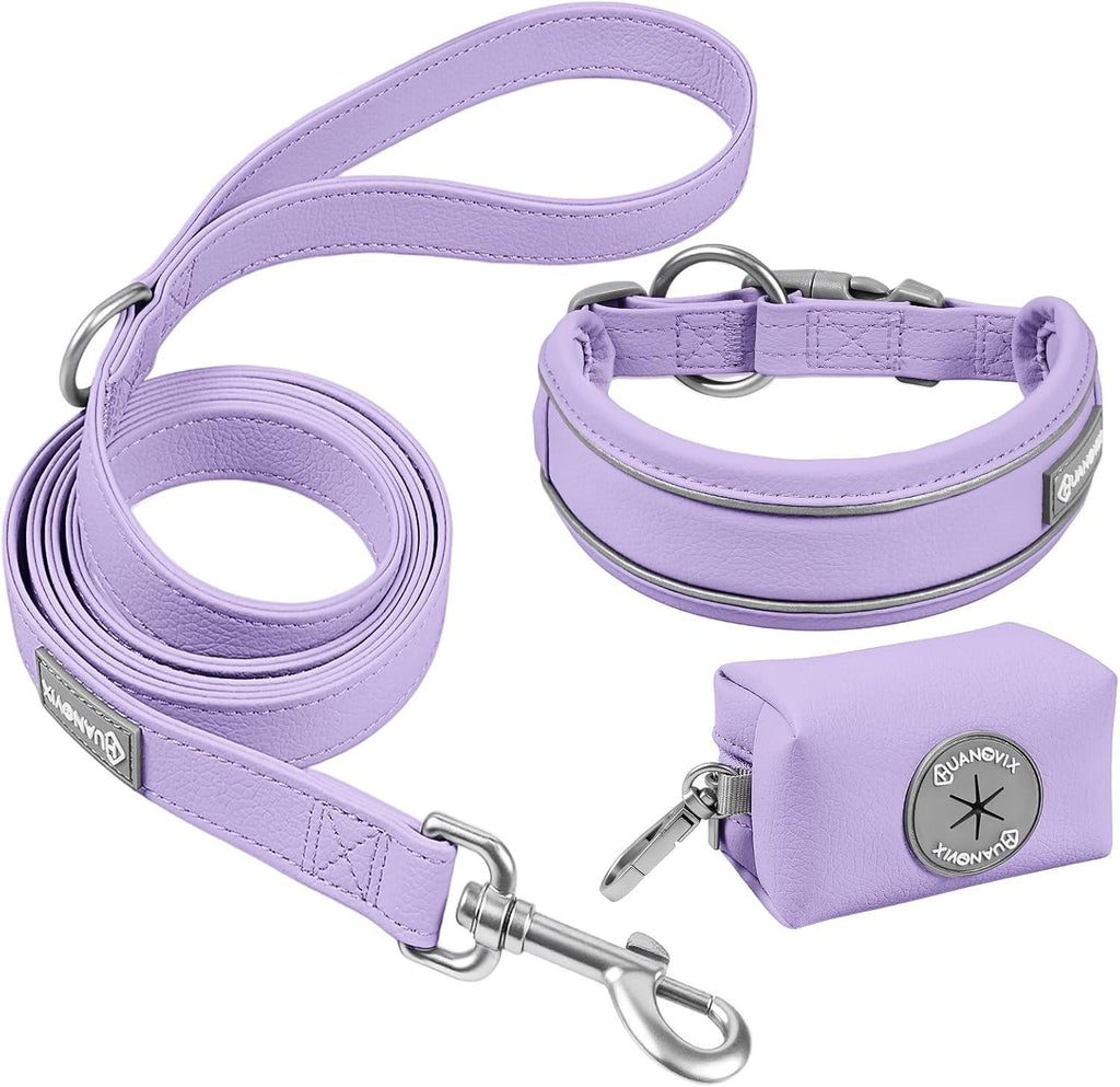 PU Leather Dog Collar & Leash Set, Limited Stock Clearance Sale