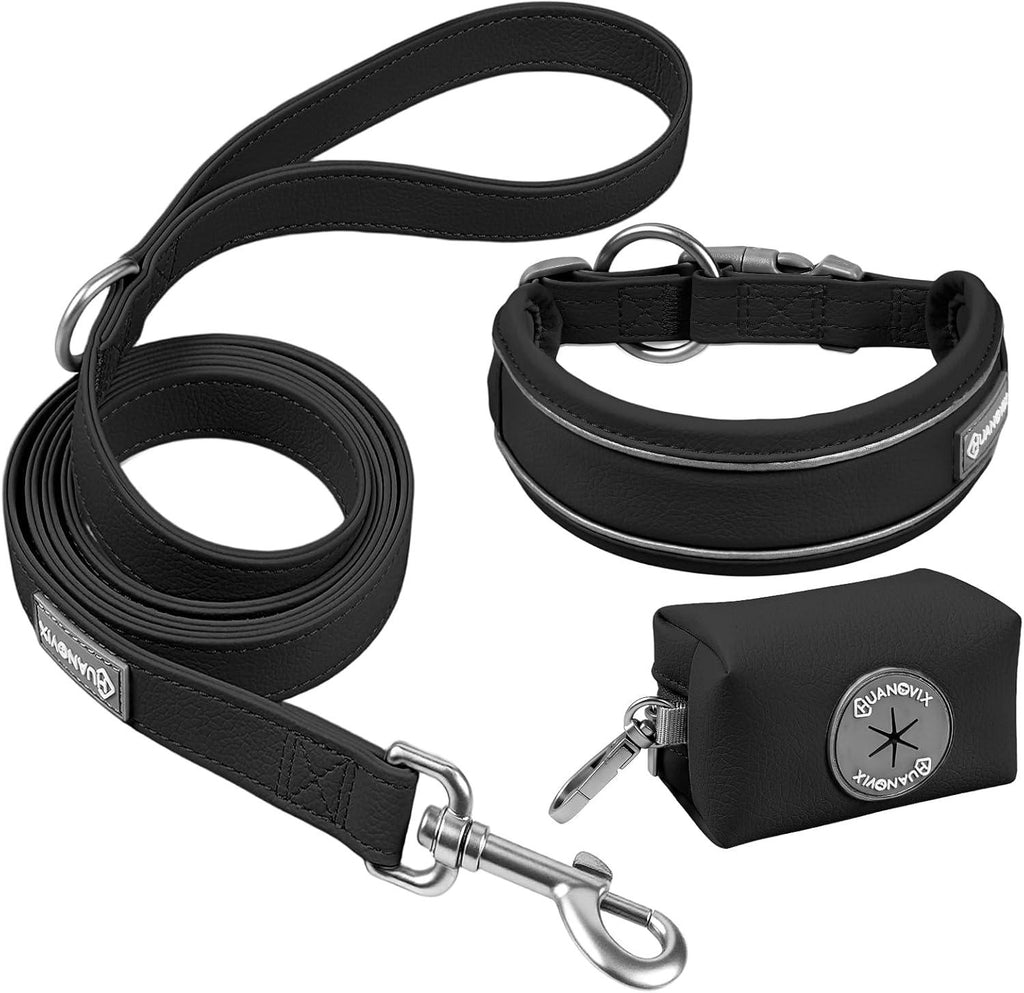 PU Leather Dog Collar & Leash Set, Limited Stock Clearance Sale