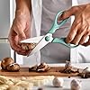 Warehouse Clearance Single Piece Scissors Ergonomic Handle Stainless Steel Office Shears