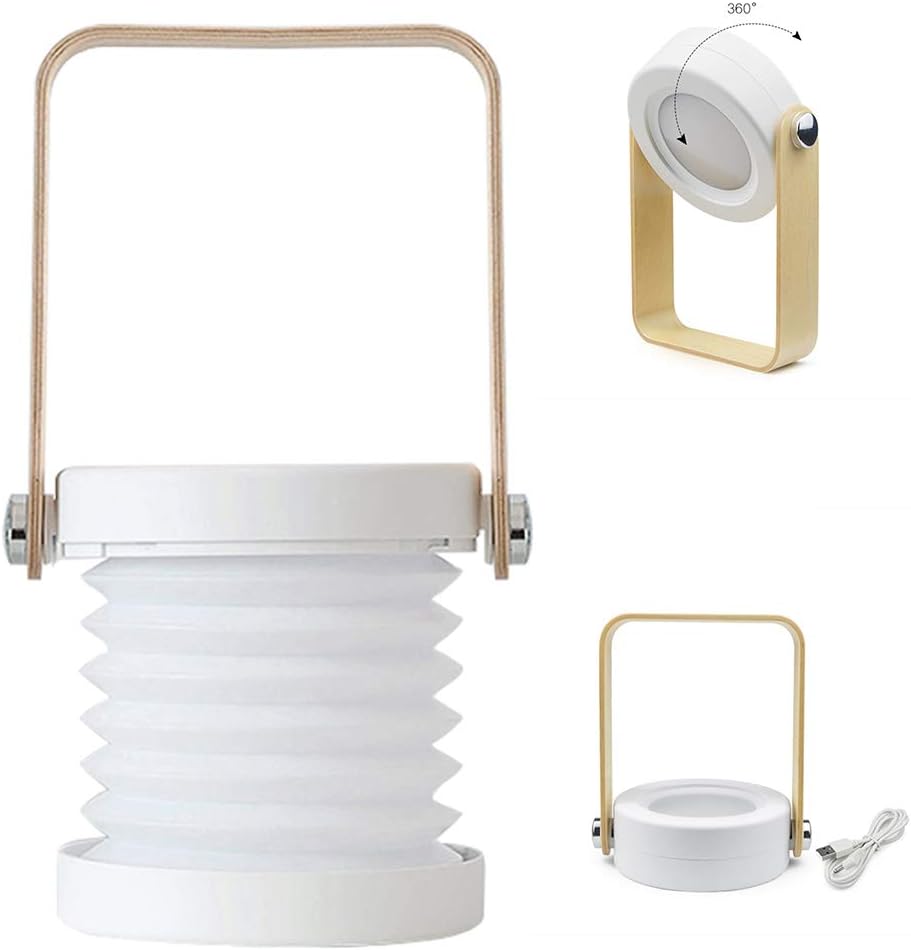 Clearance Multi-Style Rechargeable Cordless LED Mini Lamp Pack, 4 Types Portable Reading Night Light, Clip On / Foldable Lantern / Flexible Gooseneck / Rotatable Desk Lamp for Bedroom Camping Dorm