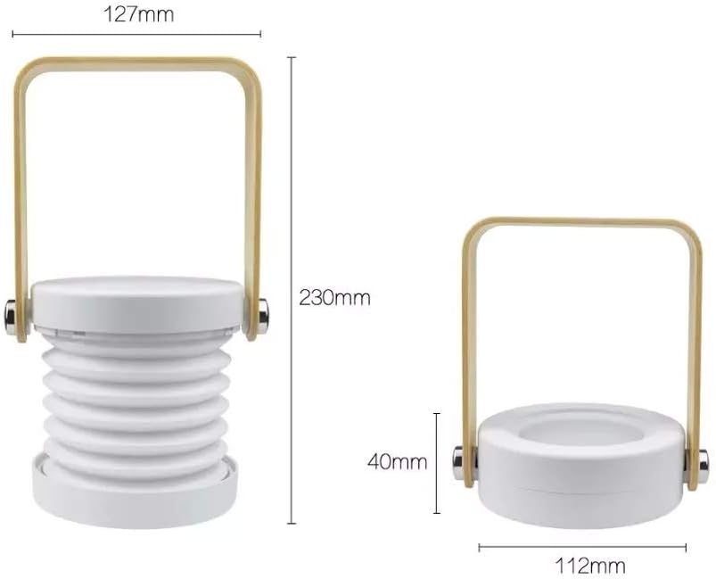 Clearance Multi-Style Rechargeable Cordless LED Mini Lamp Pack, 4 Types Portable Reading Night Light, Clip On / Foldable Lantern / Flexible Gooseneck / Rotatable Desk Lamp for Bedroom Camping Dorm