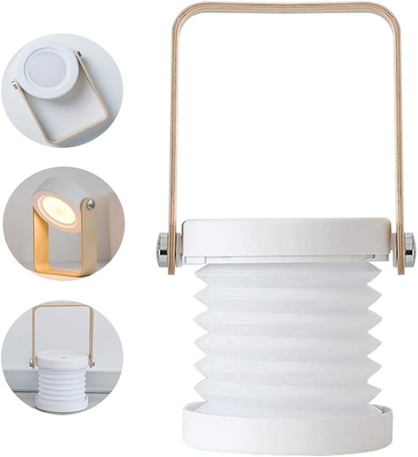 Clearance Multi-Style Rechargeable Cordless LED Mini Lamp Pack, 4 Types Portable Reading Night Light, Clip On / Foldable Lantern / Flexible Gooseneck / Rotatable Desk Lamp for Bedroom Camping Dorm