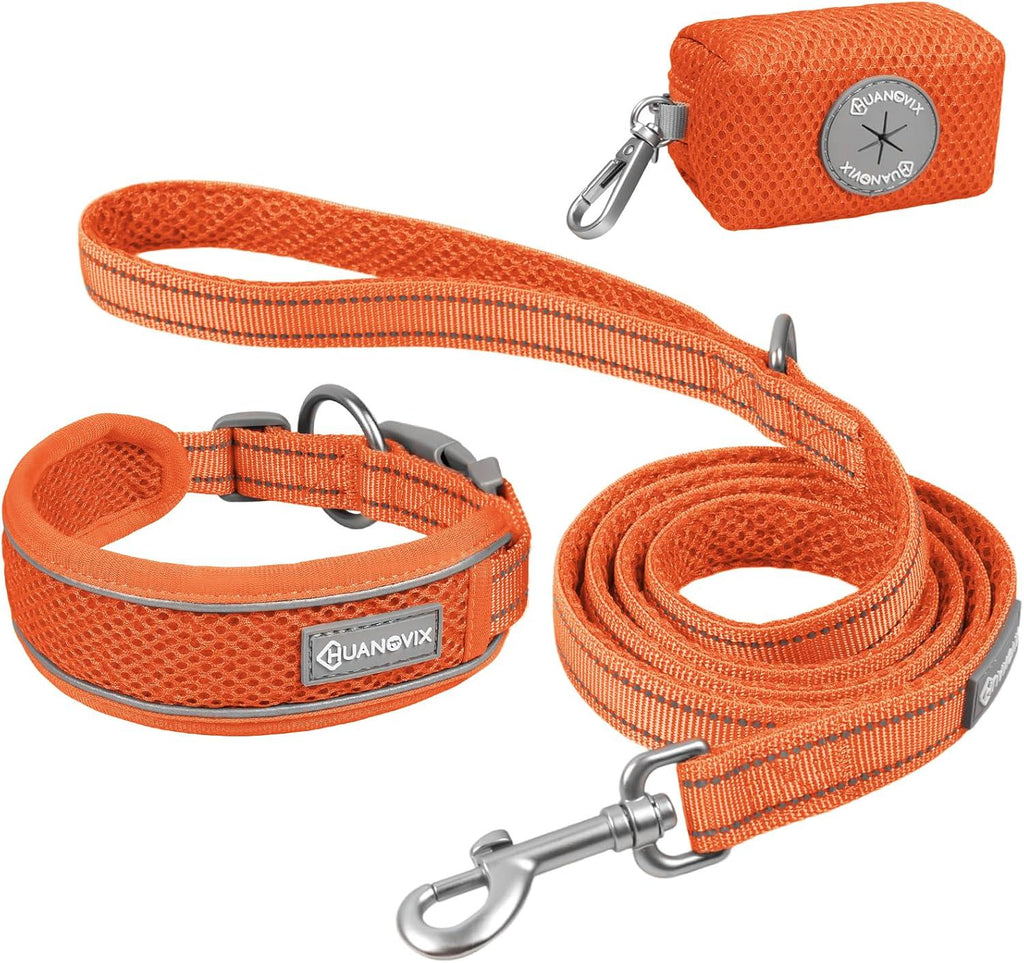 PU Leather Dog Collar & Leash Set, Limited Stock Clearance Sale