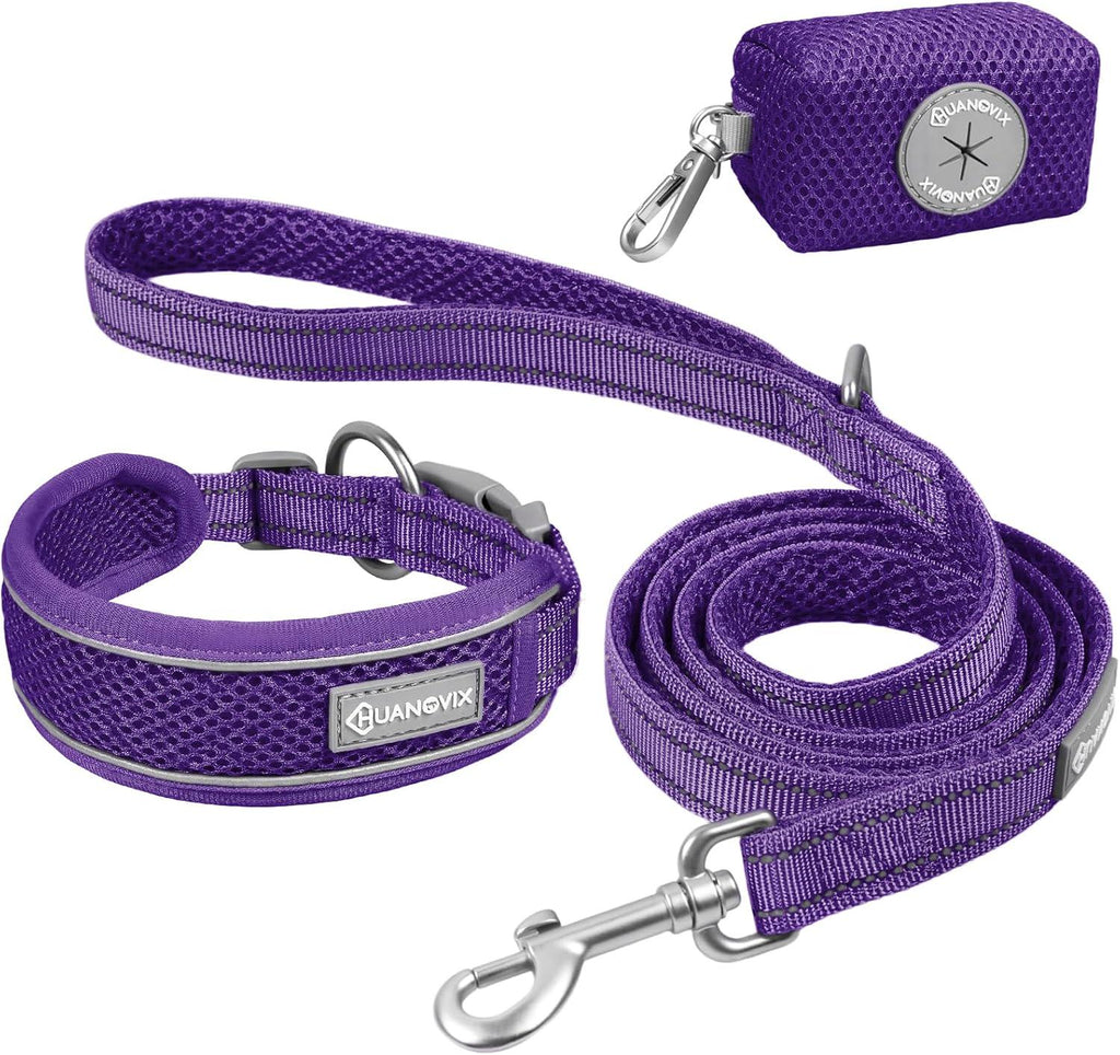 PU Leather Dog Collar & Leash Set, Limited Stock Clearance Sale