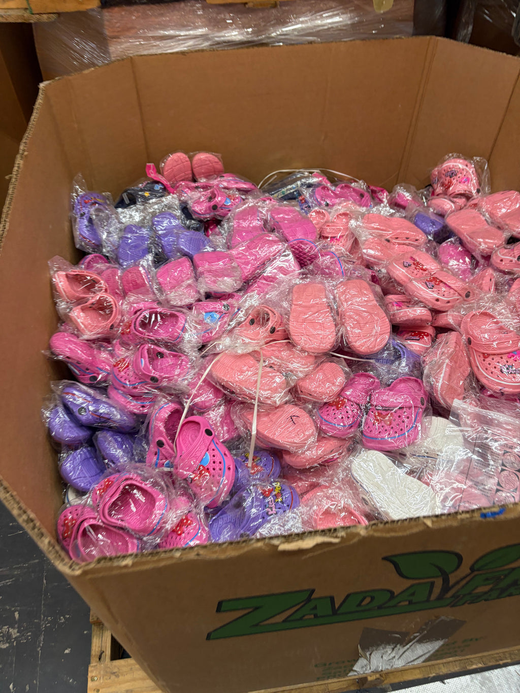 FLASH SALE – 30,000 Pairs of Slippers | Wholesale by Gaylord