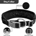 PU Leather Dog Collar & Leash Set, Limited Stock Clearance Sale
