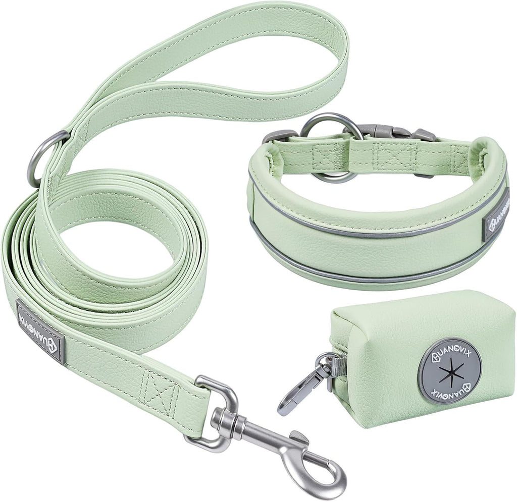 PU Leather Dog Collar & Leash Set, Limited Stock Clearance Sale