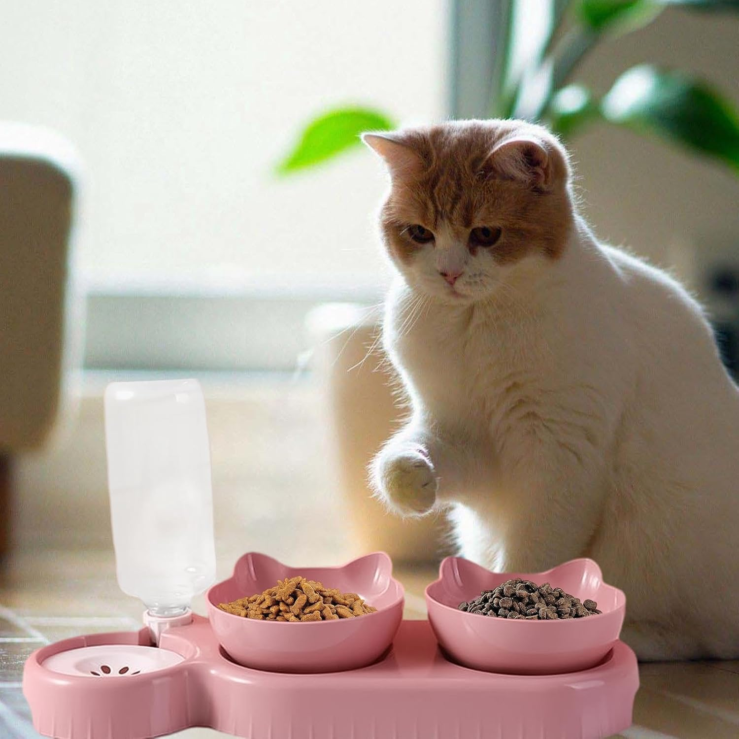 Cat Food Bowl - 500ml Dog Food Bowl, Double Dog Bowl, Sloped Cat Dish with Automatic Water Bottle, Heavy Duty Pet Feeder, Bowl
